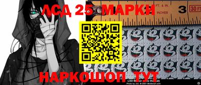 мяу мяу мука Будённовск