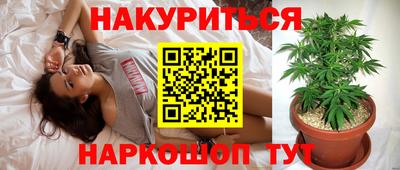 мяу мяу мука Будённовск