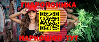 стафф Берёзовский