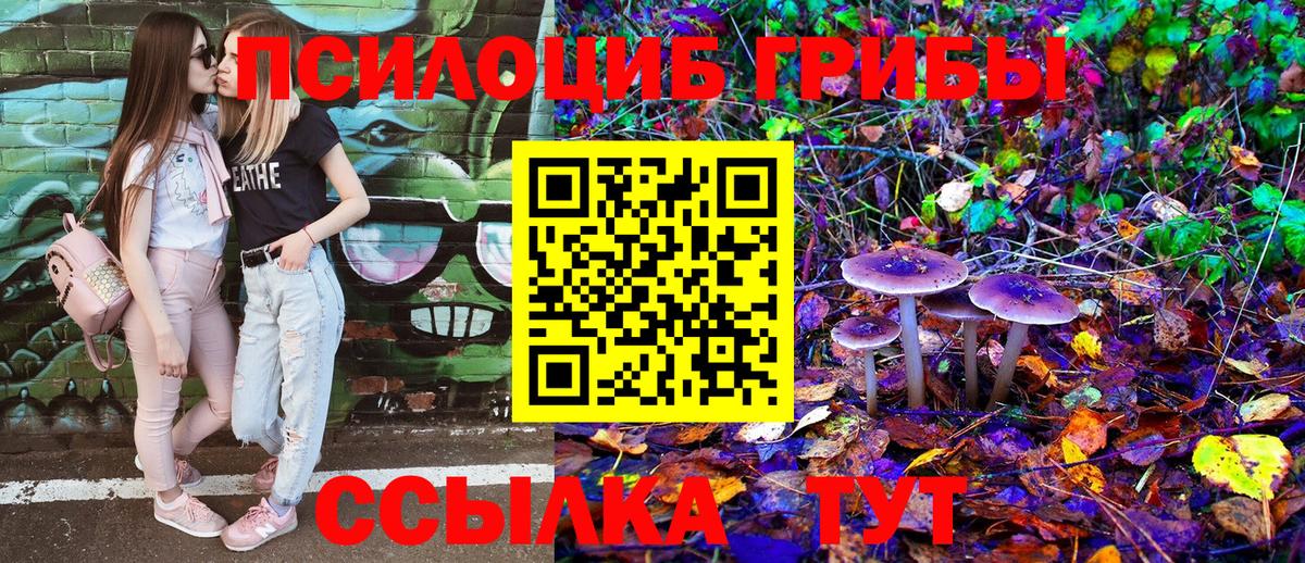 Псилоцибиновые грибы мухоморы Камышин